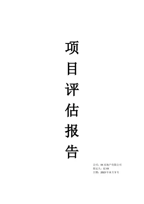 项目评估报告 2