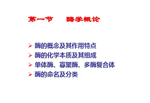 第二章 酶的基础知识