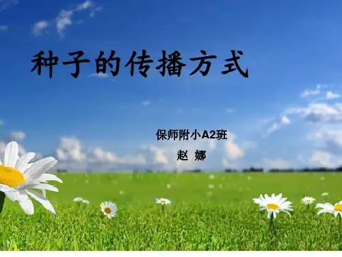 种子的传播方式ppt