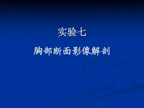 实验七胸部断面影像解剖