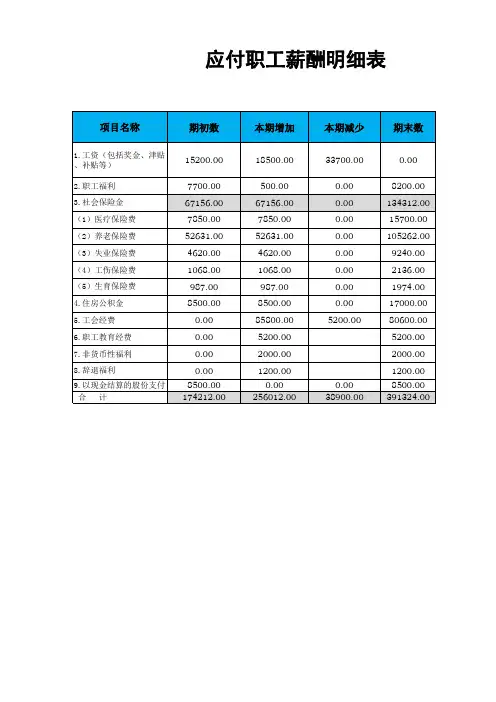 文件 应付职工薪酬明细表
