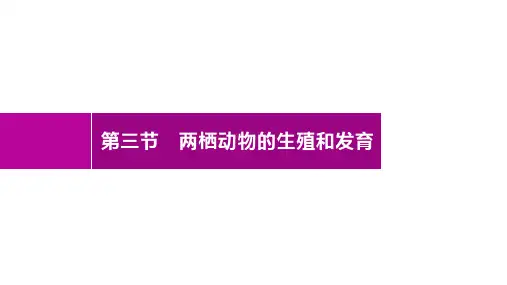 2020人教版生物八年级下册 第七单元 第一章 第三节 两栖动物的生殖和发育