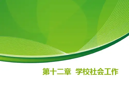 12、学校社会工作(20160522pm)