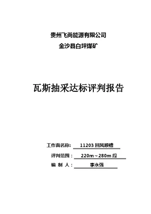 11203回风顺槽第七循环抽采达标评判报告详解