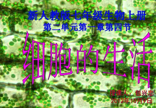 七年级生物上册第二单元第一章第四节__细胞的生活课件