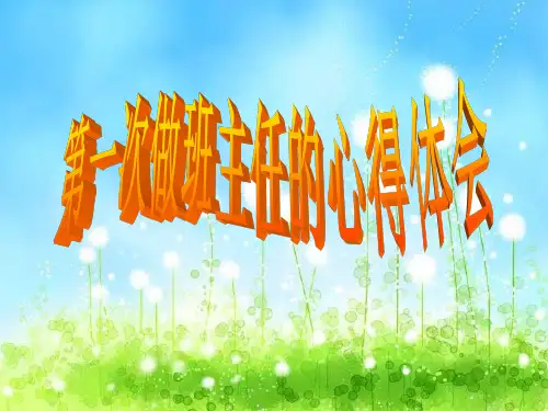 第一次当班主任的心得与体会