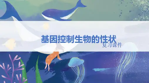 人教版八年级生物下册 《基因控制生物的性状》精品复习课件
