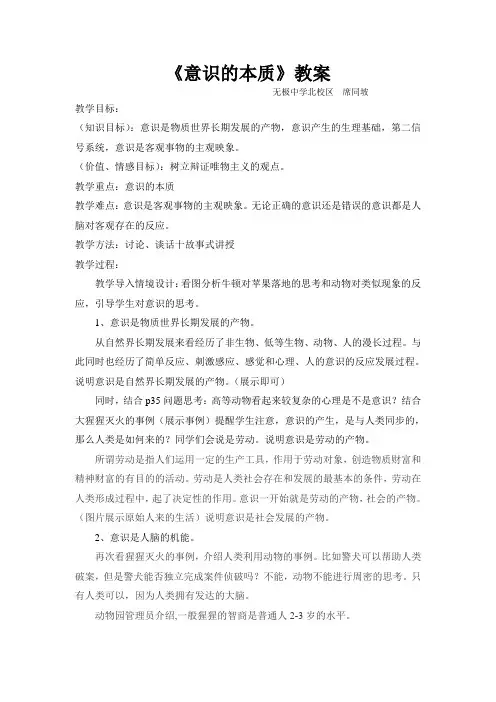 意识的本质