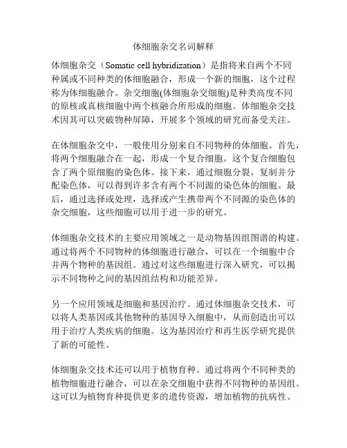 体细胞杂交名词解释