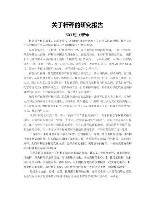 关于杆秤的研究报告