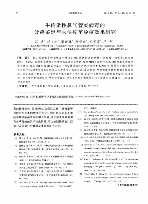 牛传染性鼻气管炎病毒的分离鉴定与灭活疫苗免疫效果研究
