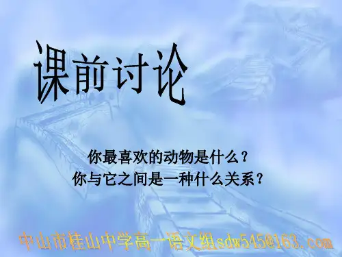原创高中语文精美课件 巩乃斯的马2