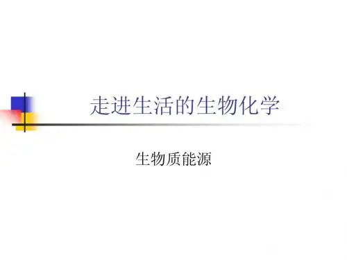 Z12-1生物质能源
