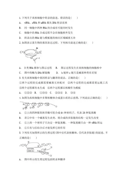 DNA复制转录翻译