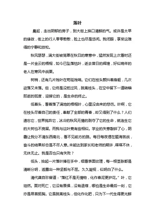 初二作文：落叶作文600字_3
