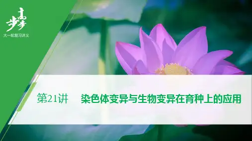 第七单元 第21讲 【高三一轮复习系列2021版步步高生物《大一轮复习讲义》】(002)