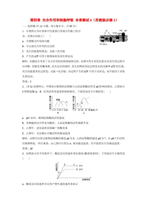 高中生物 第四章 光合作用和细胞呼吸本章测试4 苏教版必修1