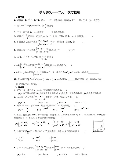 培优讲义----二元一次方程组