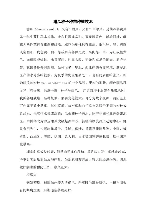 甜瓜种子种苗种植技术