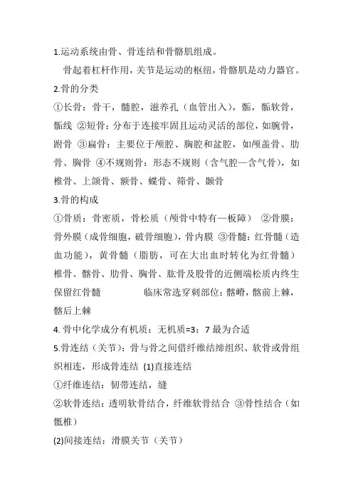运动系统重点考点