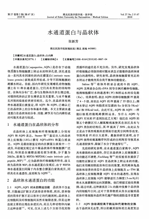 水通道蛋白与晶状体