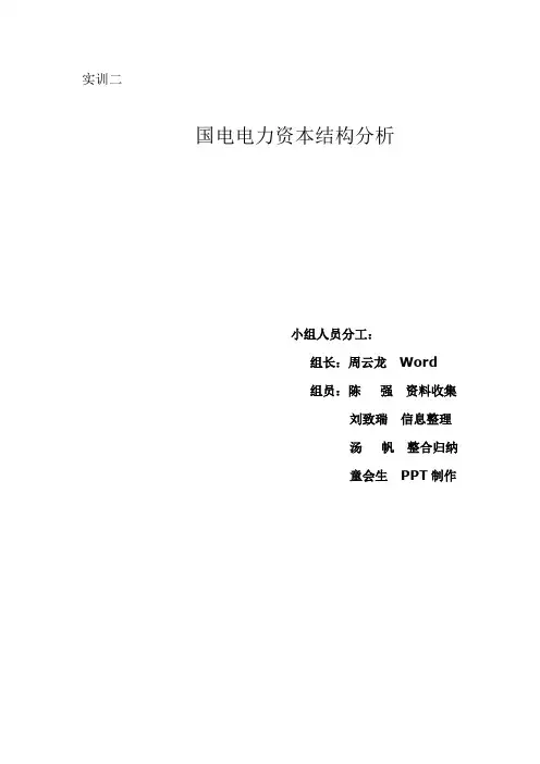 国电电力资本结构分析
