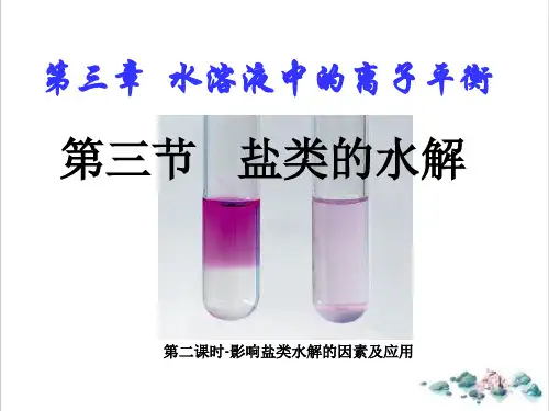 课件《盐类水解》精品PPT课件_人教版1