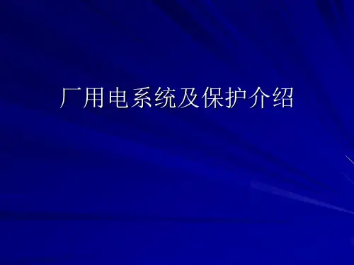 厂用电系统及保护介绍