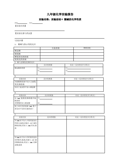 实验6-酸碱的化学性质实验报告 (1)