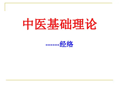 十二经脉PPT课件