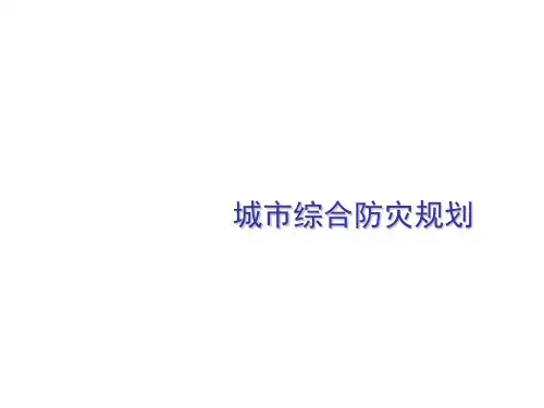 城市综合防灾专项规划