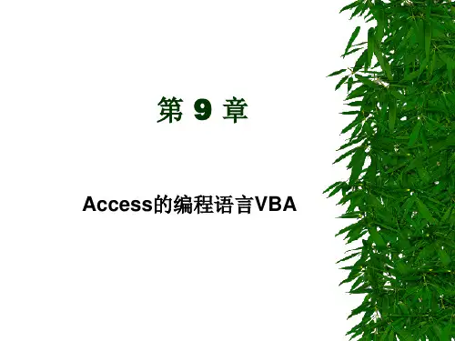 第九章    Access的编程语言VBA