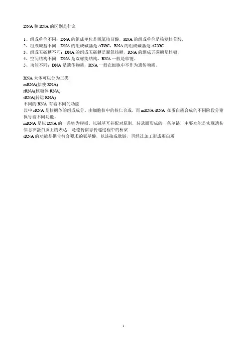 (完整版)DNA和RNA的区别是什么