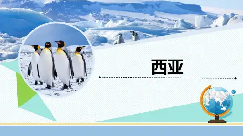 《西亚》视频版