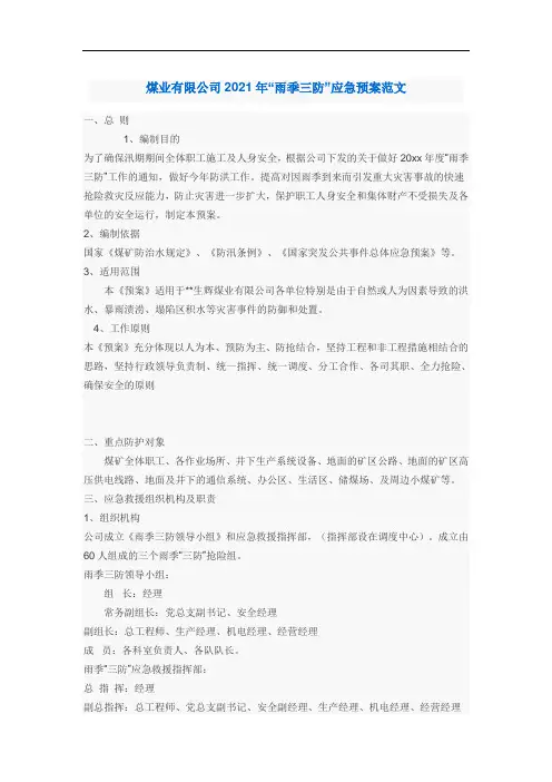 煤业有限公司2021年“雨季三防”应急预案范文