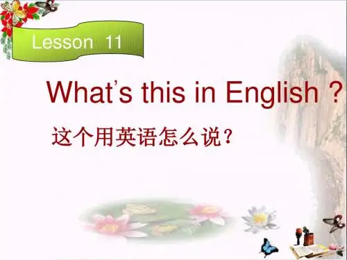 四年级英语上册Lesson11What’sthisinEnglish PPT精品课件3科普版