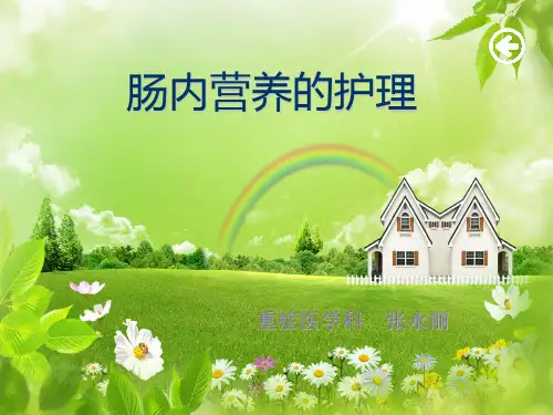 肠内营养的护理要点