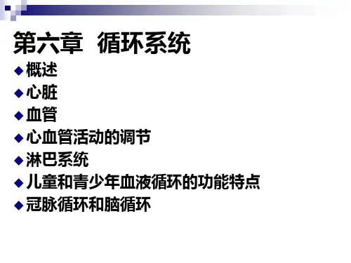 循环系统生理