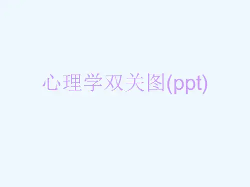心理学双关图(ppt)