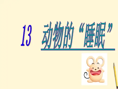西南师大版四年级语文下册《三单元  13 动物的“睡眠”》课件_3