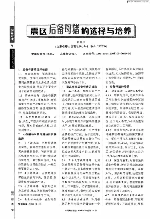 震区后备母猪的选择与培养