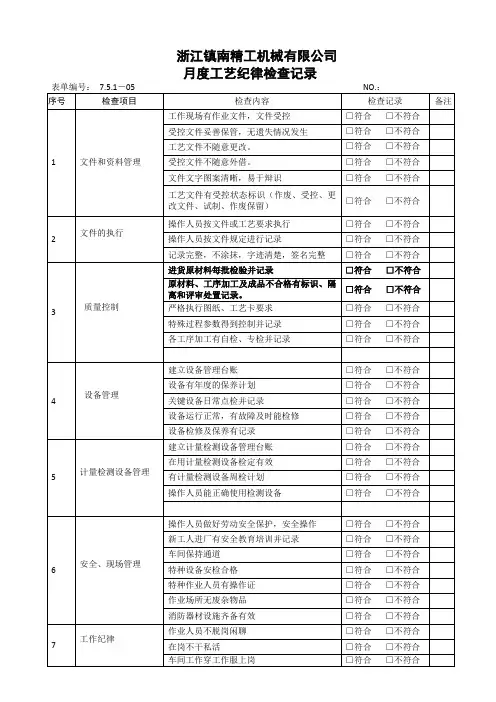 工艺纪律执行情况检查记录