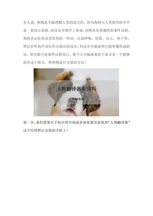 人狗翻译器有用吗