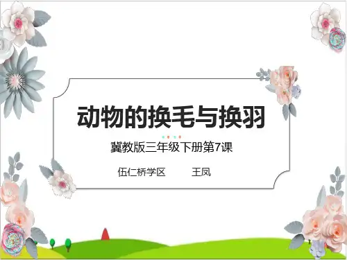 三级下册科学课件动物的换毛与换羽 冀教版共张