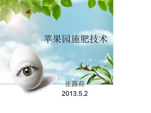 苹果园施肥技术