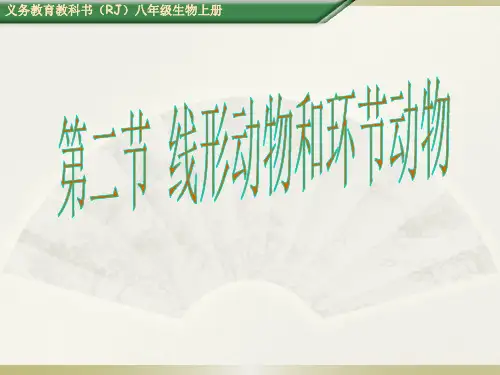 人教版八年级生物上册 第二节 线形动物和环节动物