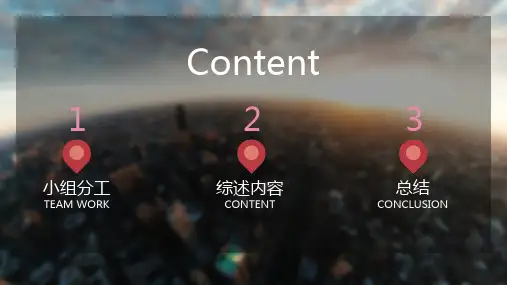 地理信息系统文献综述汇报ppt
