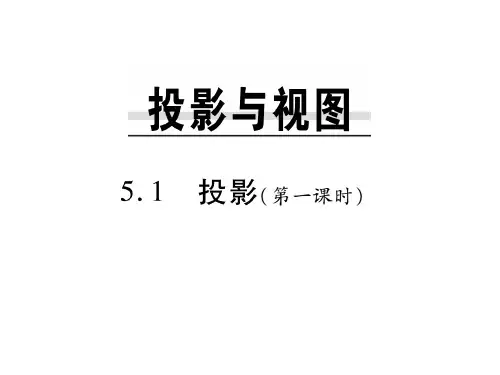 5.1 投影(第一课时)