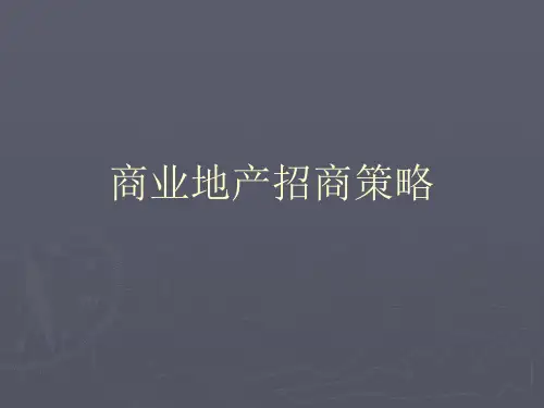 商业地产招商策略基础培训资料55
