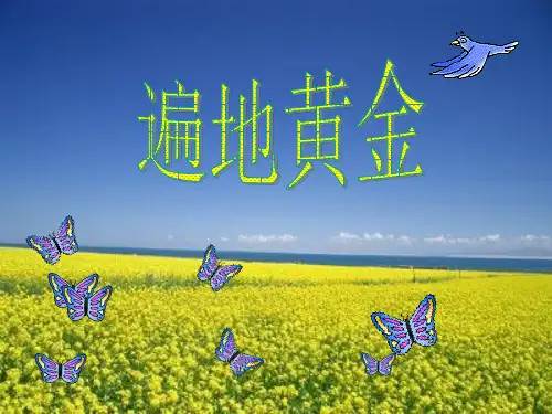 湘教版五年级下册第三课《_遍地黄金》PPT课件_遍地黄金